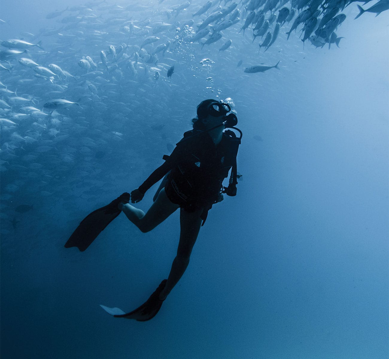Scuba diving in Baja's East Cape