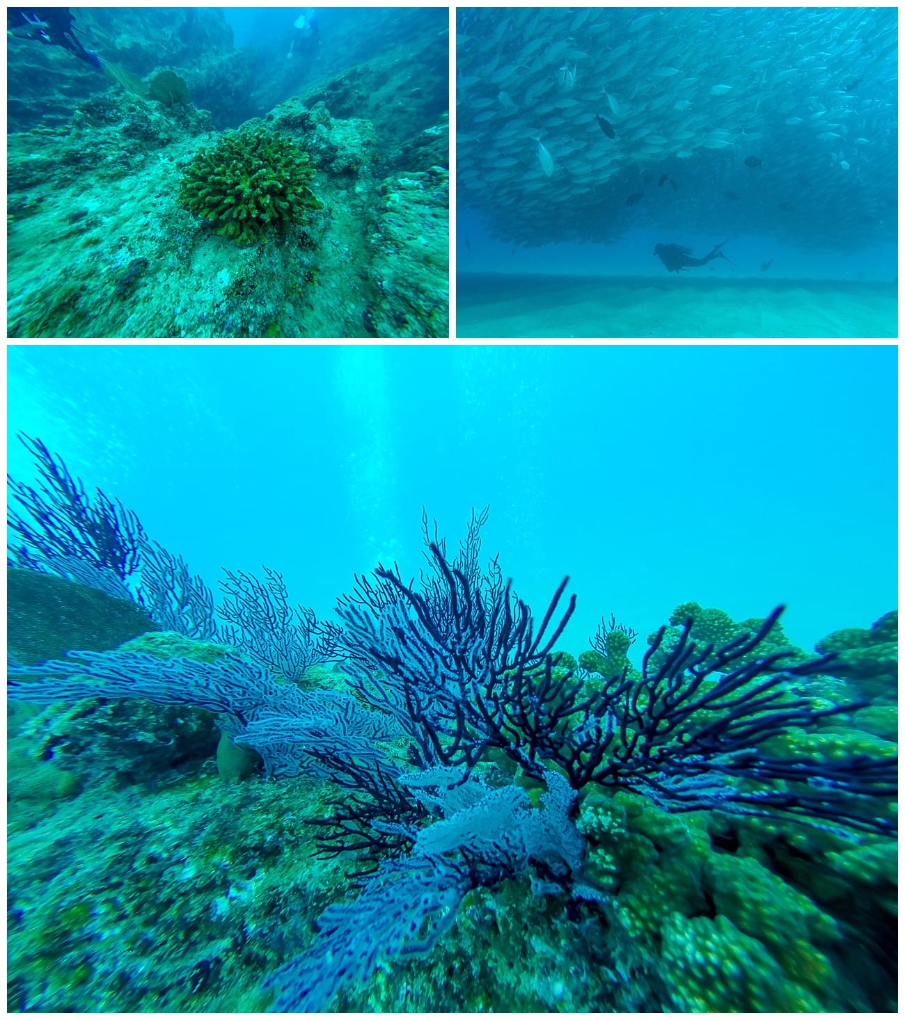Scuba Diving on Cabo's East Cape