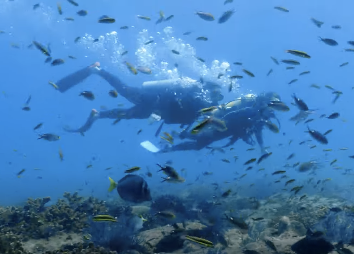 A pair of divers visit the coral reefs of Cabo Pulma